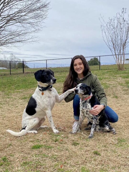 Woman kneeling with two black and white dogs