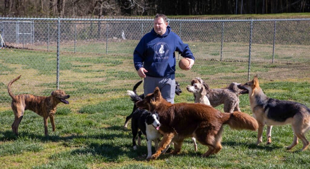 Jeff Jones, owner of Upstate Dog Training at dog daycare with dogs playing in the dog park in Greer, sc