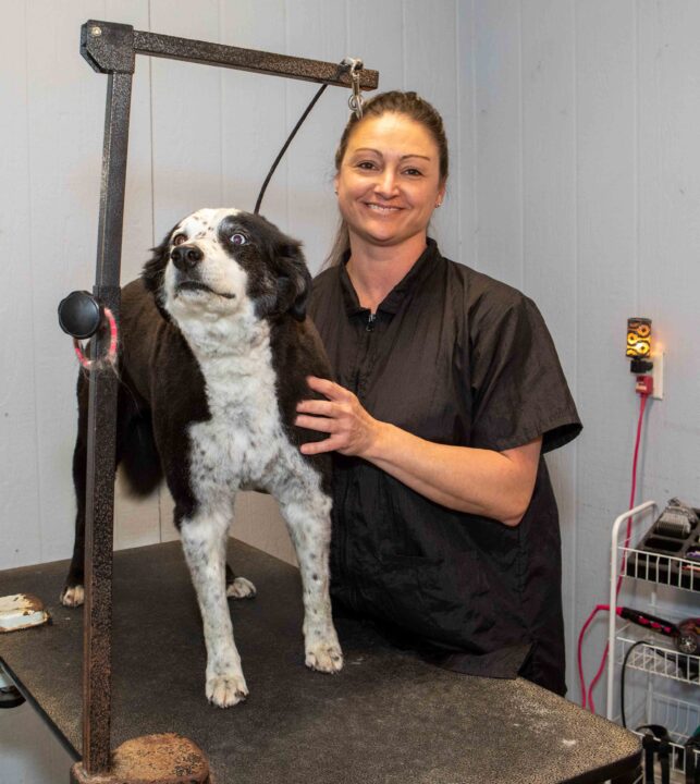 Dog Groomer with Australian Shepard