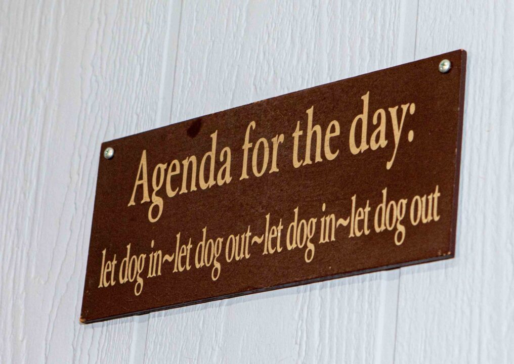 Agenda for the day sign. Let dog, let dog out...