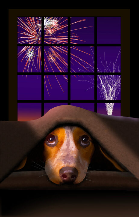 A frightened Beagle under a blanket during fireworks seen through a window