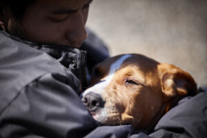 man,holding,sleepy,puppy,dog,closeup,selective,focus,daylight