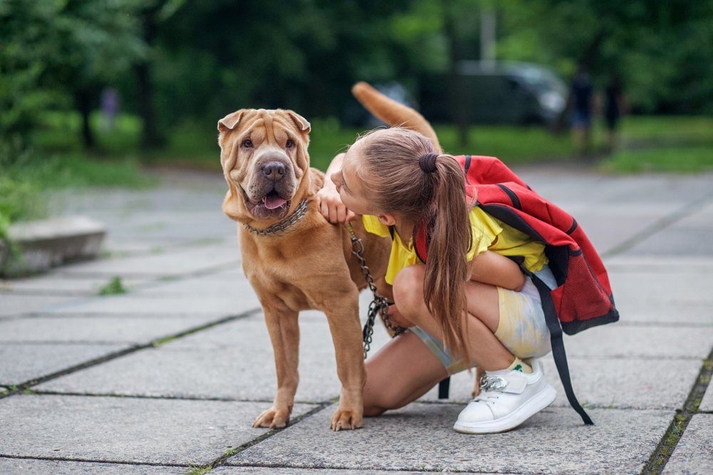 child,walking,with,dog.,school,girl,after,school,having,fun