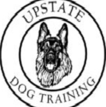 upstatedog3